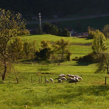 Apartma Zala Most na Soči Esterno foto
