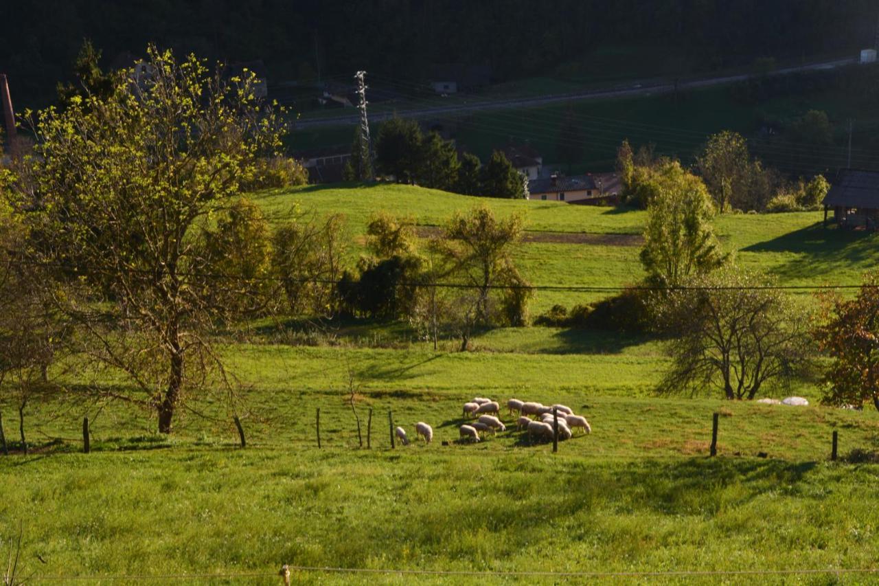 Apartma Zala Most na Soči Esterno foto