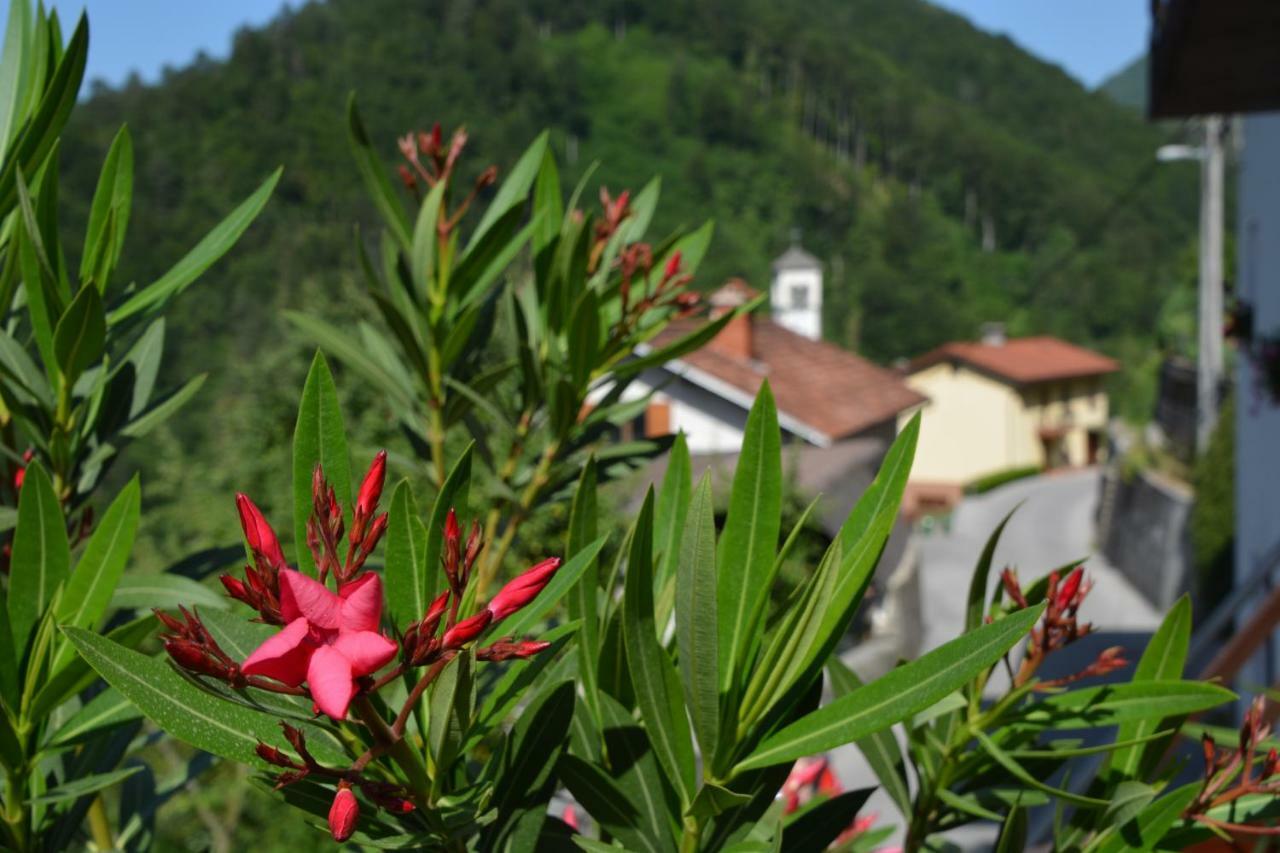 Apartma Zala Most na Soči Esterno foto