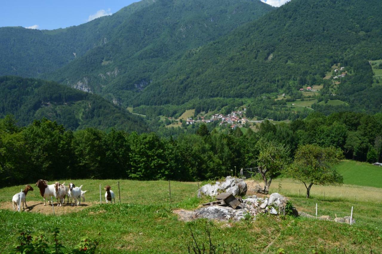Apartma Zala Most na Soči Esterno foto